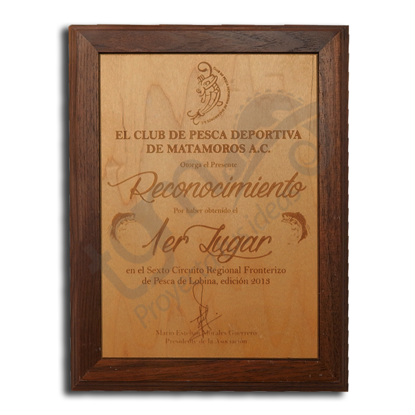 RECONOCIMIENTO BASE MADERA NATURAL Trofeos y Grabados M